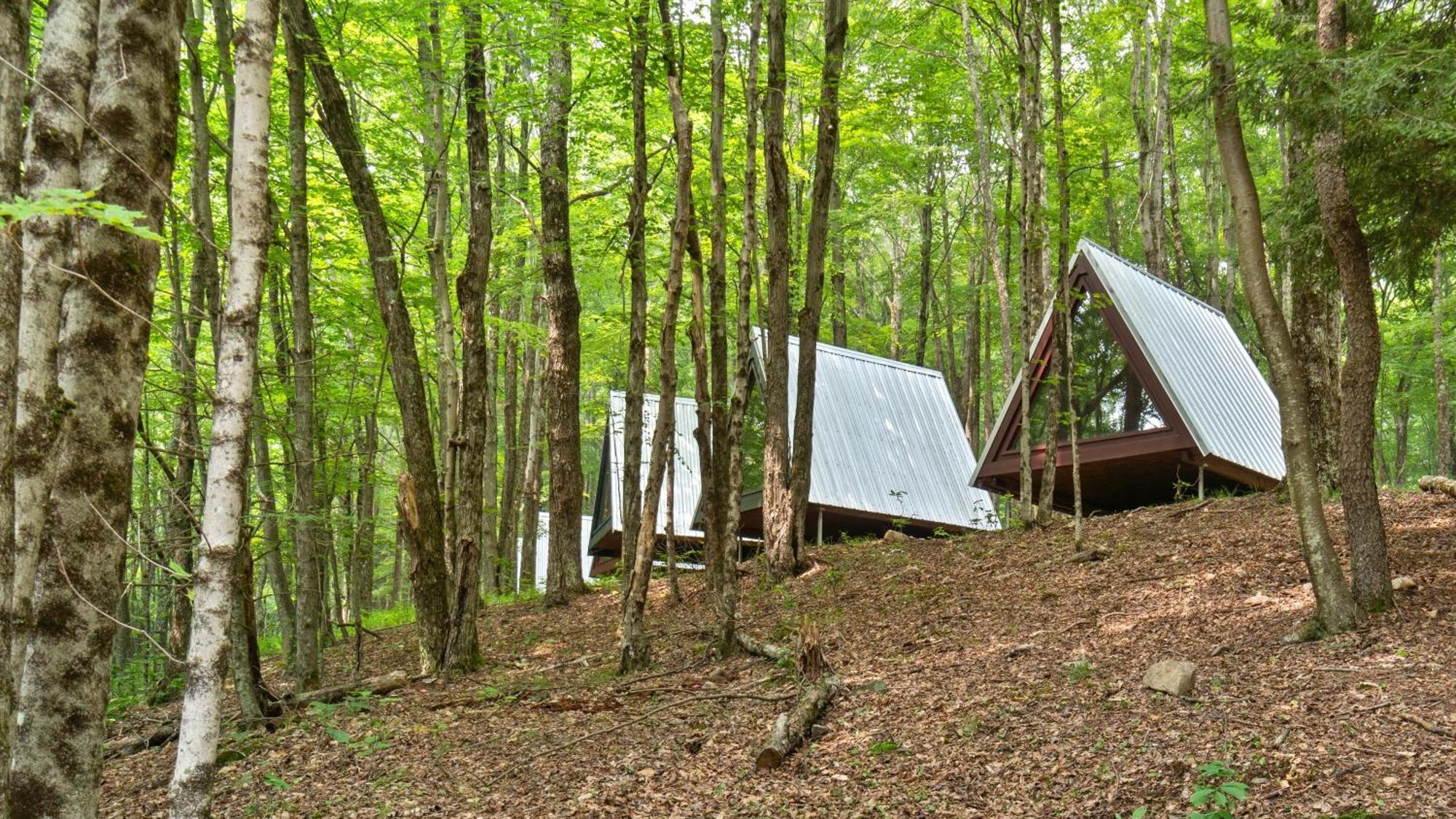 Callicoon Hills Callicoon Center Exteriör bild